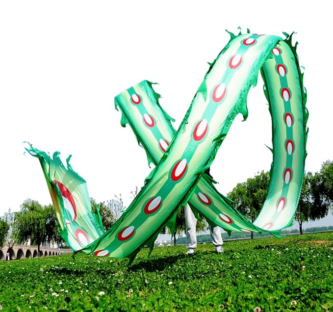 Square Exercise Dance Outdoor Flinging Fitness Dragon POI Wu Long 3D Real-Like Dragon Ribbon Streamer Set (19.6ft, Green Phoenix)