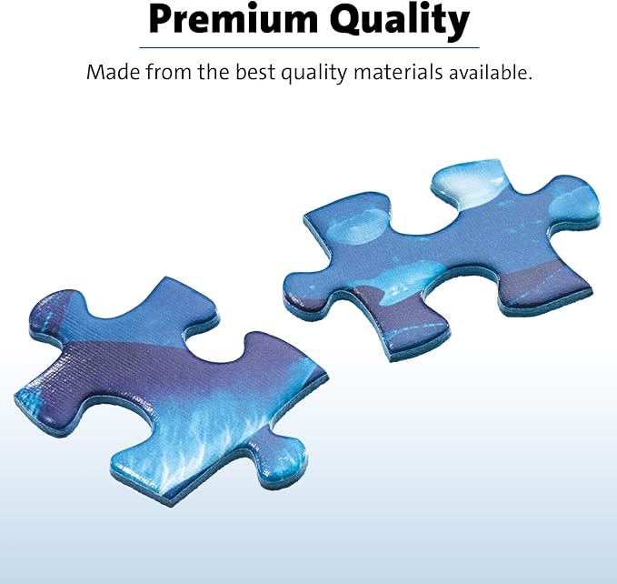 Ravensburger Fun at The Carnival - Engaging 300 Piece Jigsaw Puzzle for Kids | Unique Piece Design | Anti-Glare Surface | Perfect Skill-Building Game for Toddlers and Kids | Model Number: 13231