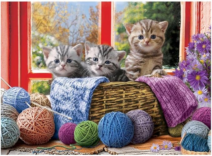Knittin' Kittens