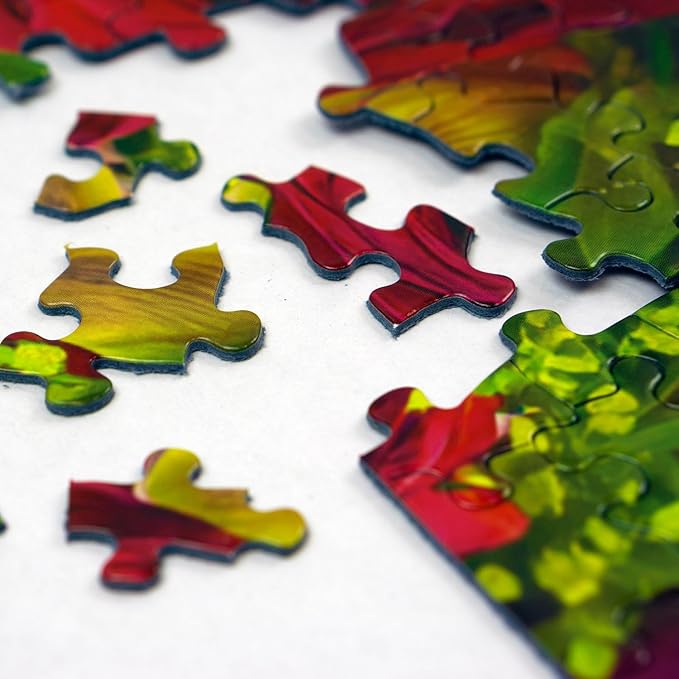 Springbok Spring Fever 500 Piece Jigsaw Puzzle for Adults - Colorful Butterfly and Flowers - Relaxing Puzzle with Unique Precision Fit Pieces - Finished Size 20" x 20"