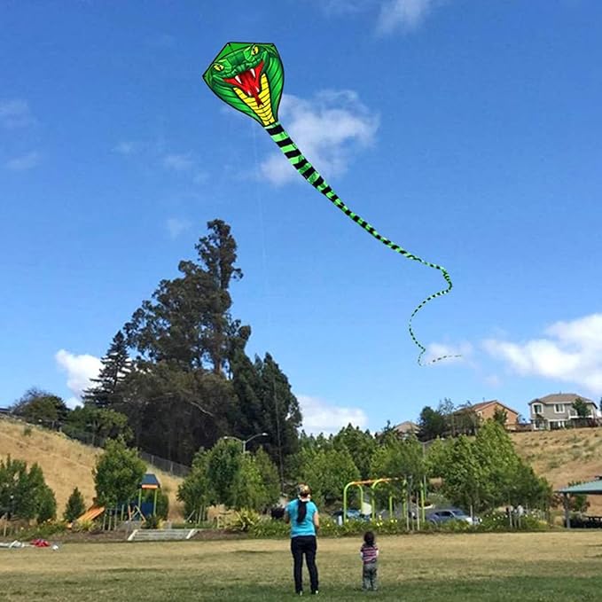 HENGDA KITE Large Power Snake Kites with Flying Line Outdoor Fun Sports Kite