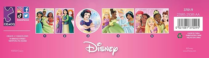 Ceaco - 5 in 1 Multipack - Disney Princess - (2) 300 Piece