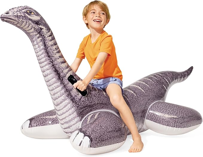 INTEX Inflatable Pool Float: Pool Toy for Kids