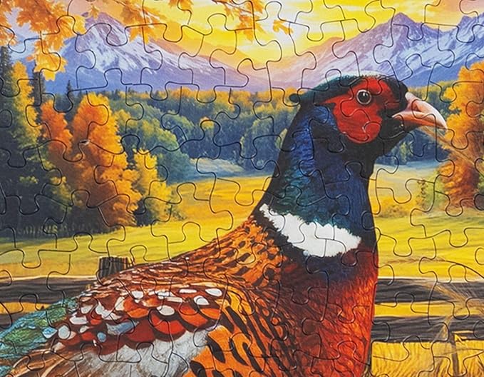 Springbok Golden Fields Pheasant 500 Piece Jigsaw Puzzle for Adults - Pheasant in a Fall Scene - Unique Cut Pieces - Made in USA