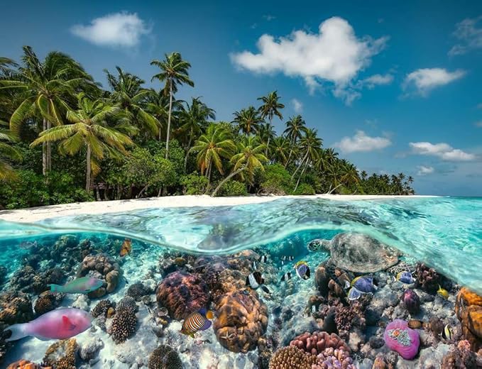 Ravensburger - A Dive in The Maldives - 2000 Piece Jigsaw Puzzle - Stunning Imagery - Beautiful & Intricate - Unique View of an Undersea World - Premium Quality - Puzzles for Adults