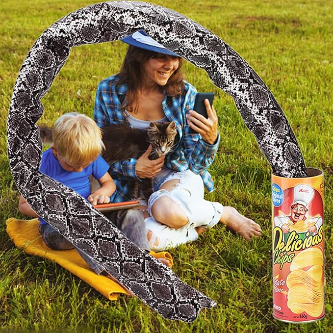 Funny Prank Gadgets Hilarious Joke Toys Spring Snake Prank Can Chip Can Packaging Shocking Pop Out Snake Trick Toy for Parties Gags