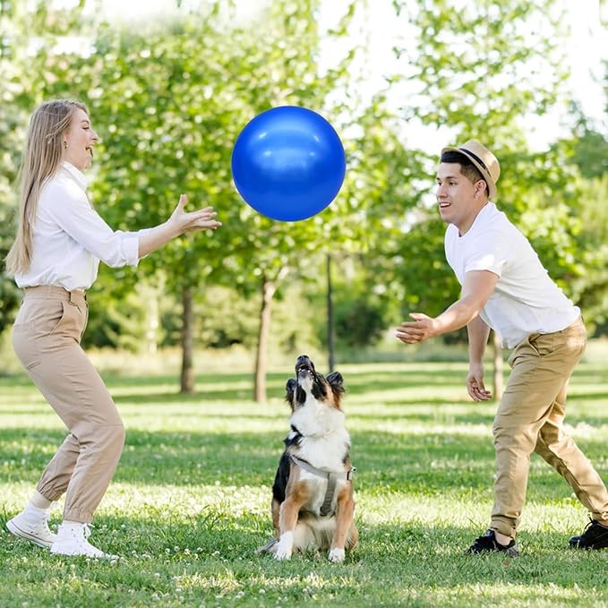 3 Pcs Inflatable Playground Balls 9 Inch Bouncy Balls with Hand Air Pump for Indoor Outdoor Play Balls for Kids