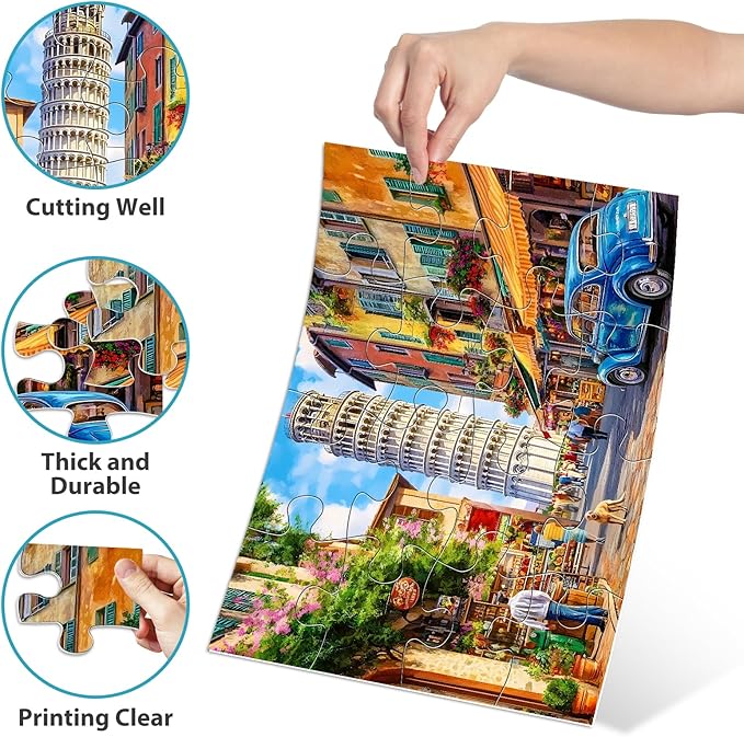 Biarek 6 Packs 16 Large Piece Puzzle for Seniors, Alzheimer's & Dementia Activities, Easy Puzzle, 6 Storage Bags