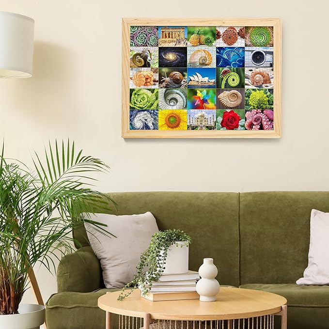 BenBen 1000 Piece Puzzle for Adults, 25 Fibonacci Spirals in Nature, Jigsaw Puzzles with Letters on Back, Challenging Puzzle for Game Night Home Décor