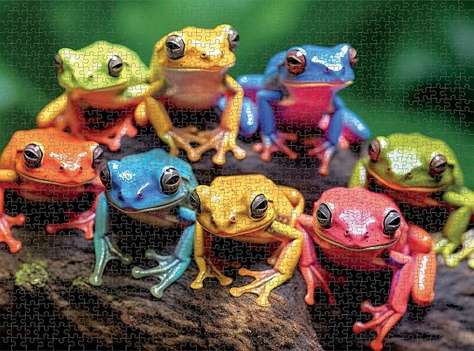 Cross & Glory - Rainbow Ribbit: Frog Ensemble - 1000 Piece Jigsaw Puzzle for Adults | Vibrant Puzzle | Premium Quality | Unique Artwork