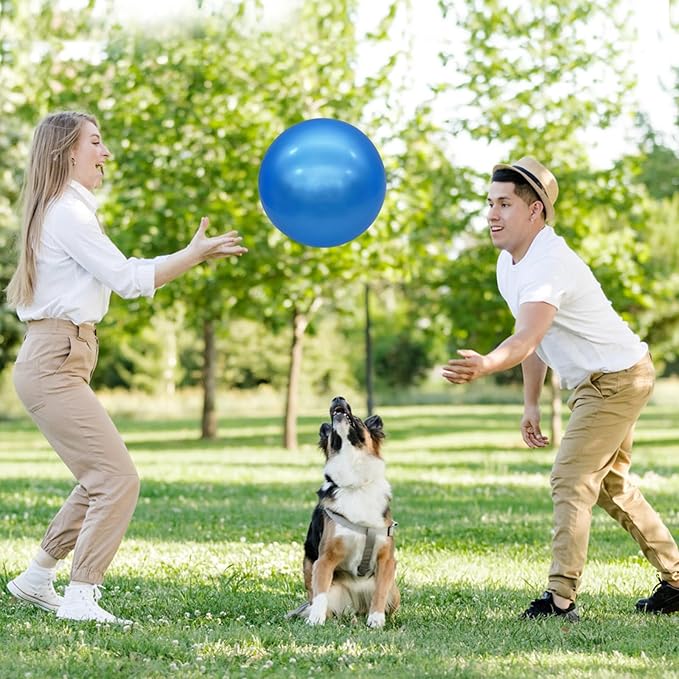 6 Pcs 6 Inch Inflatable Bouncy Balls, with 1 Hand Air Pump