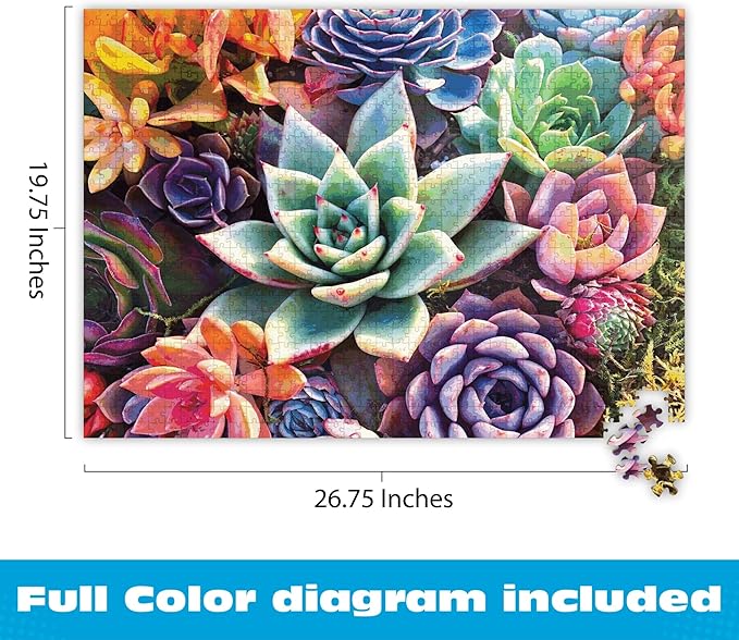 Buffalo Games - Simple Succulent - James Mertke - 1000 Piece Jigsaw Puzzle for Adults - Challenging Puzzle for Game Nights - Vibrant Plant Artwork - Finished Size 26.75 x 19.75 - Made in the USA