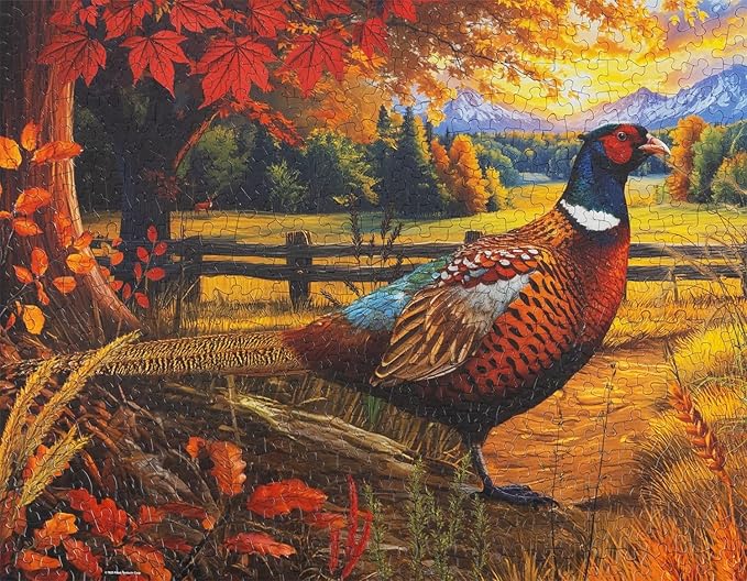 Springbok Golden Fields Pheasant 500 Piece Jigsaw Puzzle for Adults - Pheasant in a Fall Scene - Unique Cut Pieces - Made in USA