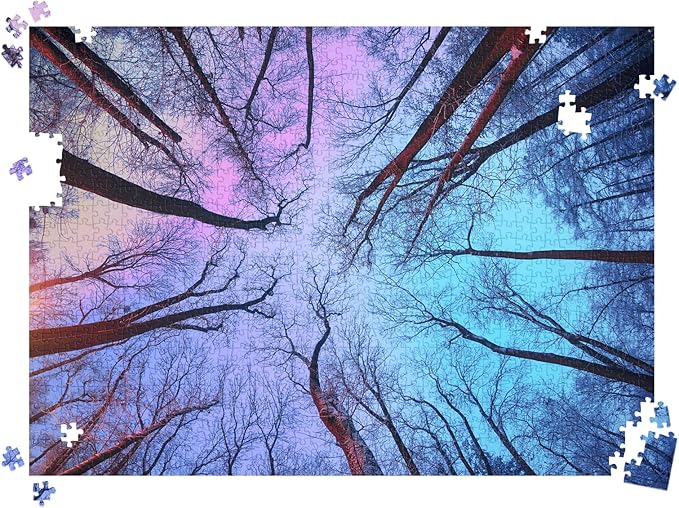 HUADADA Puzzles for Adults 1000 Pieces,Challenging Game Toys, Puzzles 1000 Pieces,Impossible Puzzle, Family Decoration Puzzle 1000-Winter Forest