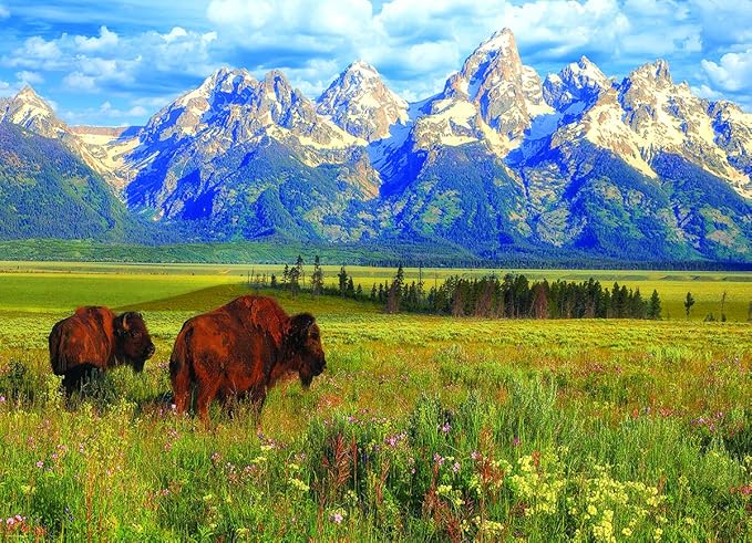 EuroGraphics Grand Teton National Park Photography by Steve Hinch 1000-Piece Puzzle