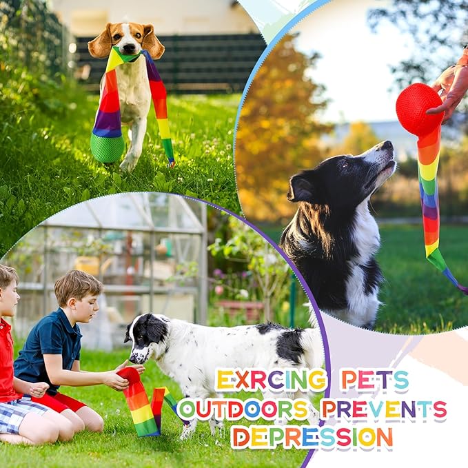 Leyndo 8 Pcs 26 Inch Throw and Catch Balls with Rainbow Tail, Fun Colorful Sports Comet Balls Playground Toys for School Classroom Beach Outdoor Camping Healthy and Fun Games (Bright Color)