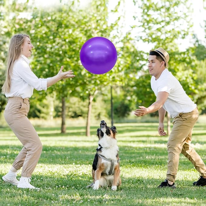 6 Pcs 6 Inch Inflatable Bouncy Balls, with 1 Hand Air Pump
