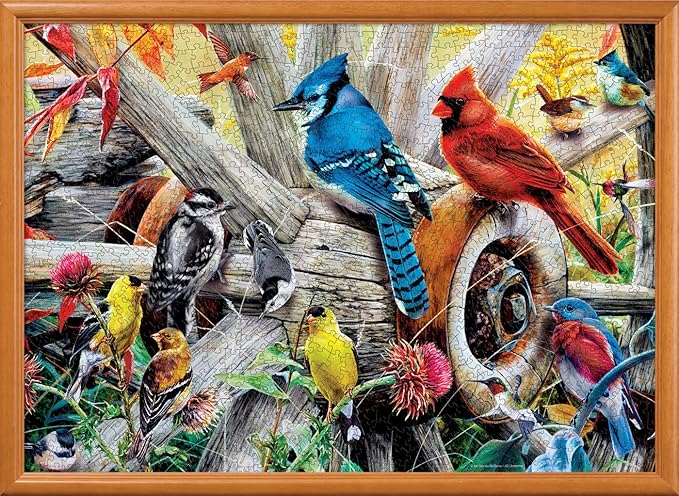 MasterPieces 1000 Piece Jigsaw Puzzle for Adults, Family, Or Youth - Backyard Birds - 19.25"x26.75"