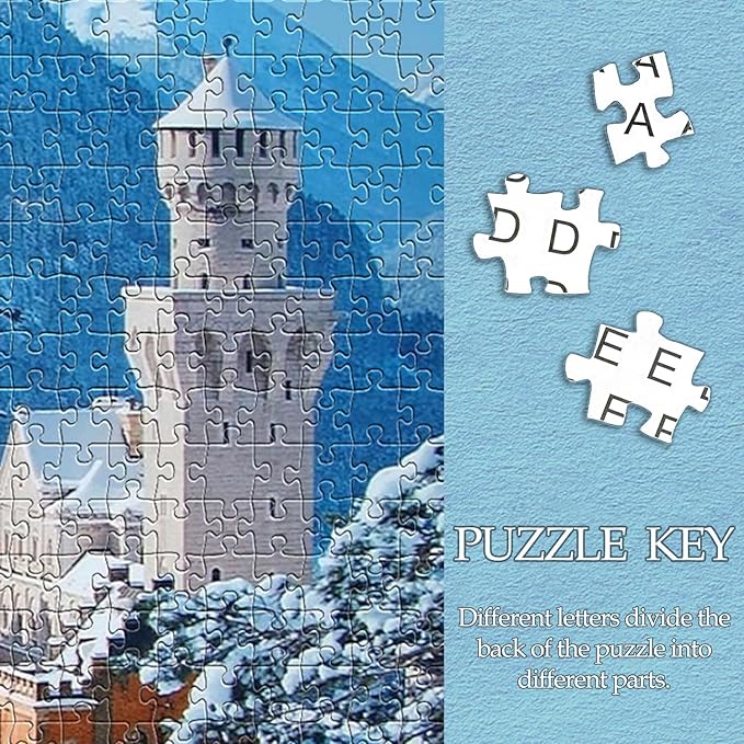 1000 Piece Jigsaw Puzzles for Adults Teens Kids - Fine Art Challenging, Swan Stone Castle 1000Pcs Puzzle, Family Game Gift, Size 27"x20"