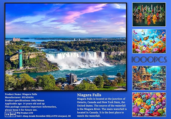 Jigsaw Puzzles for Adults 1000 Piece Puzzle for Adults 1000 Pieces Puzzle 1000 Pieces-Niagara Falls