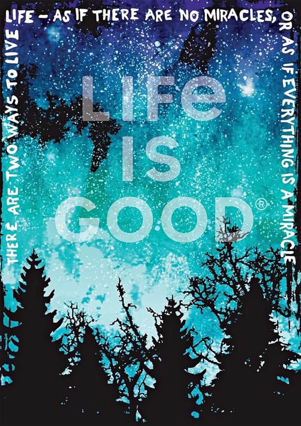 Buffalo Games - Life is Good - Everything is a Miracle - 500 Piece Jigsaw Puzzle for Adults -Challenging Puzzle Perfect for Game Nights - Finished Size is 21.25 x 15.00