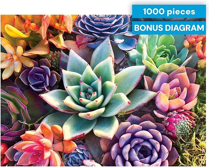 Buffalo Games - Simple Succulent - James Mertke - 1000 Piece Jigsaw Puzzle for Adults - Challenging Puzzle for Game Nights - Vibrant Plant Artwork - Finished Size 26.75 x 19.75 - Made in the USA
