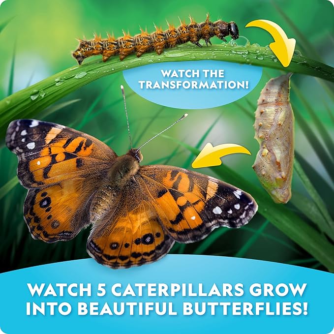 National Geographic Ultimate Butterfly Growing Kit – Butterfly Habitat Kit with Voucher to Redeem 5 Caterpillars (S&H Not Included), Glow-in-The-Dark Figures, Hands-On Activity, Easter Gifts for Kids