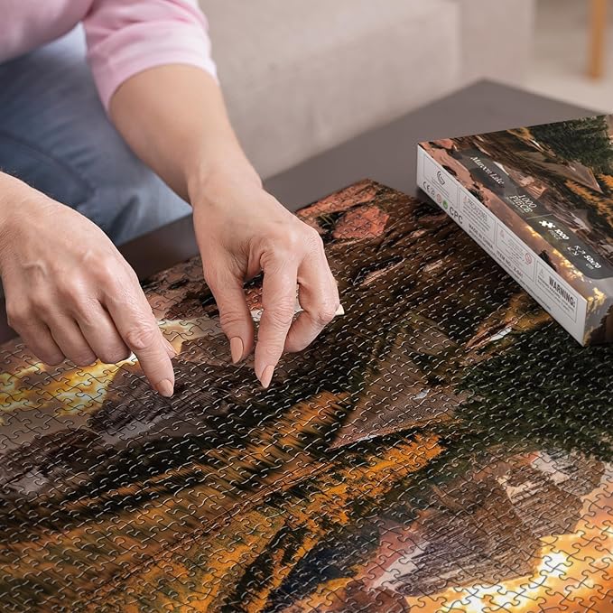 Nature Puzzle for Adult 1000 Piece, Mountain Lake Landscape Puzzle Scenery, Maroon Lake Jigsaw Puzzles Scenic
