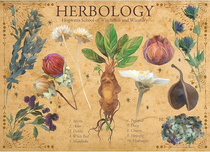 Aquarius Harry Potter Herbology 1000pc Puzzle (1000 Piece Jigsaw Puzzle) - Glare Free - Precision Fit - Officially Licensed Merchandise & Collectibles - 20x28 Inches