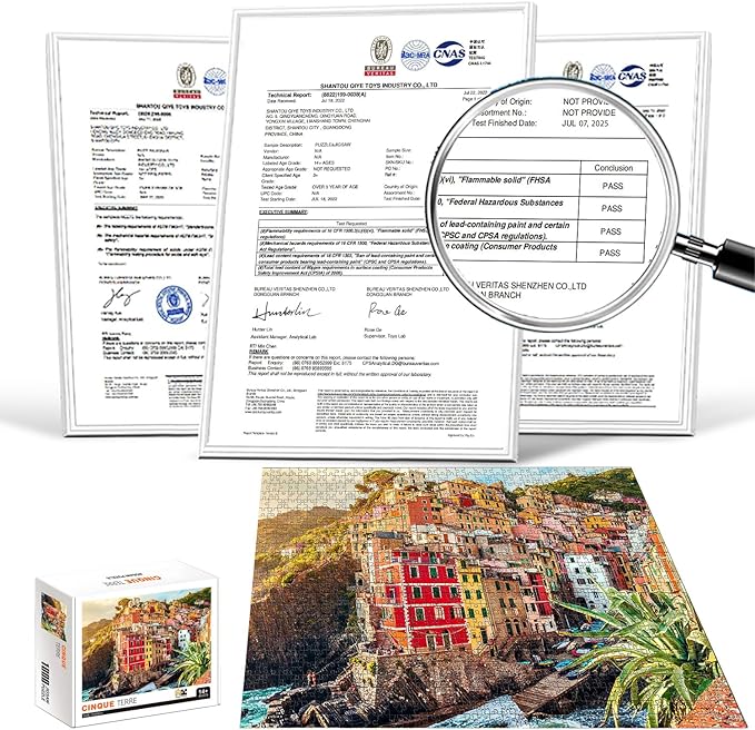1000 Piece Jigsaw Puzzles for Adults Teens Kids - Fine Art Challenging, Cinque Terre 1000Pcs Puzzle, Family Game Gift, Size 27"x20"