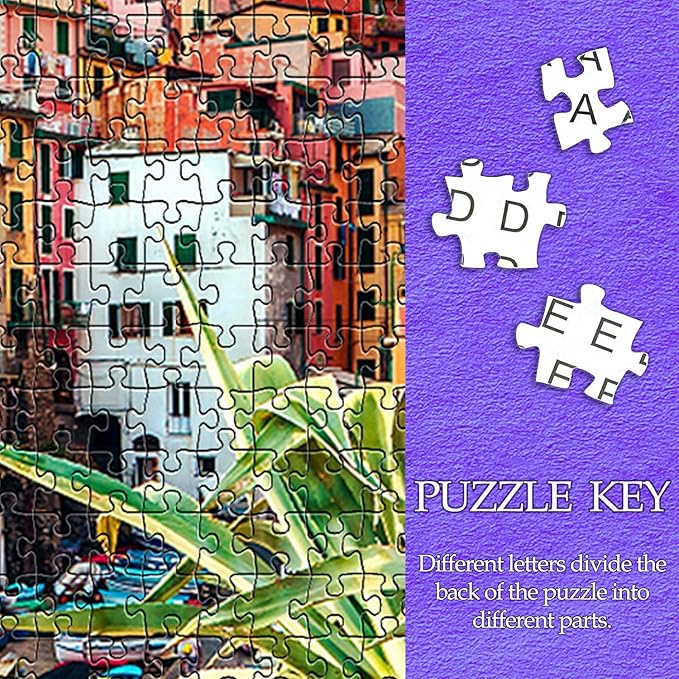 1000 Piece Jigsaw Puzzles for Adults Teens Kids - Fine Art Challenging, Cinque Terre 1000Pcs Puzzle, Family Game Gift, Size 27"x20"
