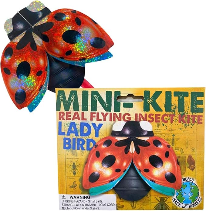 House of Marbles Mini Flying Insect Kites