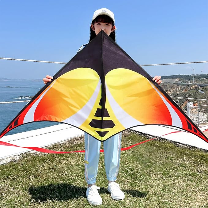 HONBO Large Delta Kite for Kids & Adults,Extremely Easy to Fly Kite for Beach Trip,String Line Included,with Colorful Tail,Perfect for Beginners