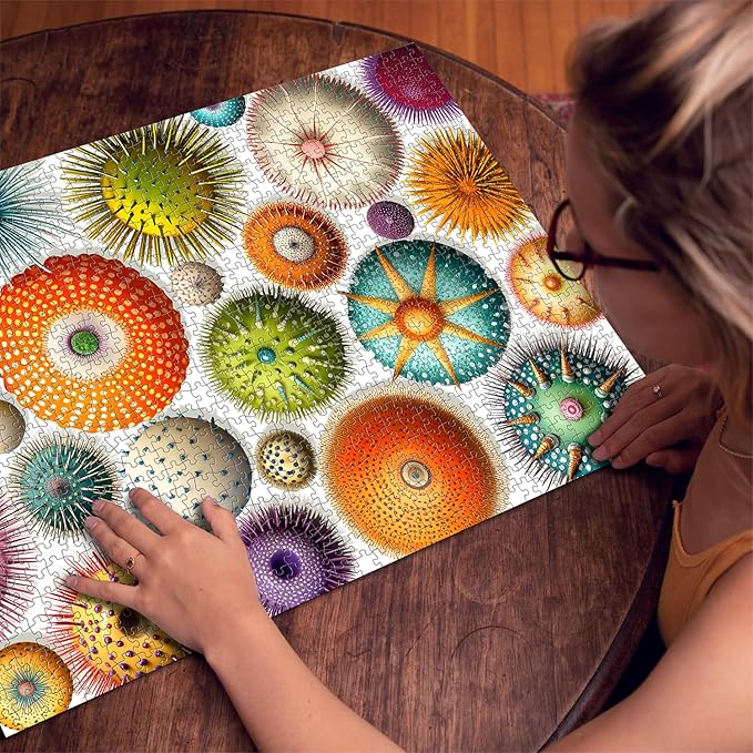 PICKFORU Colorful Sea Urchin Puzzles for Adults 1000 Pieces, Ocean Beach Puzzle, Challenging Puzzles for Adults, Nature Hard Jigsaw Puzzles