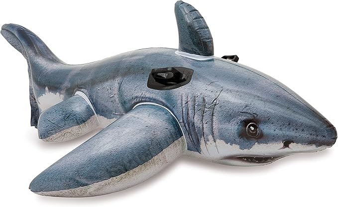 INTEX Inflatable Pool Float: Pool Toy for Kids
