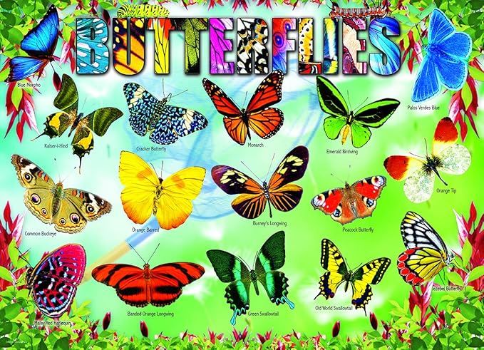 Garden Butterflies