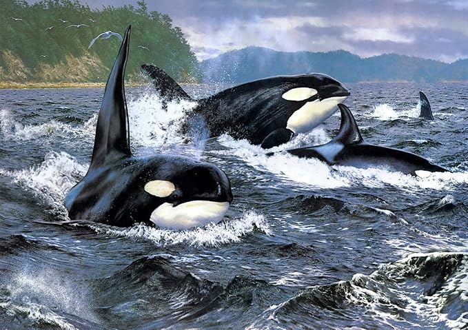 1000 Pieces Jigsaw Puzzle for Adults,Group of Killer Whales，Wood Jigsaw Puzzle,Brain Challenge Educational Game Relaxation Family Activity Pastime Entertainment Activity Decorative Puzzle