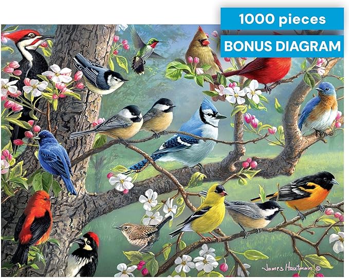 Buffalo Games - Birds in an Orchard - Hautman - 1000 Piece Jigsaw Puzzle for Adults, Challenging Bird Puzzle for Game Nights, Finished Size 26.75 x 19.75, Made in the USA