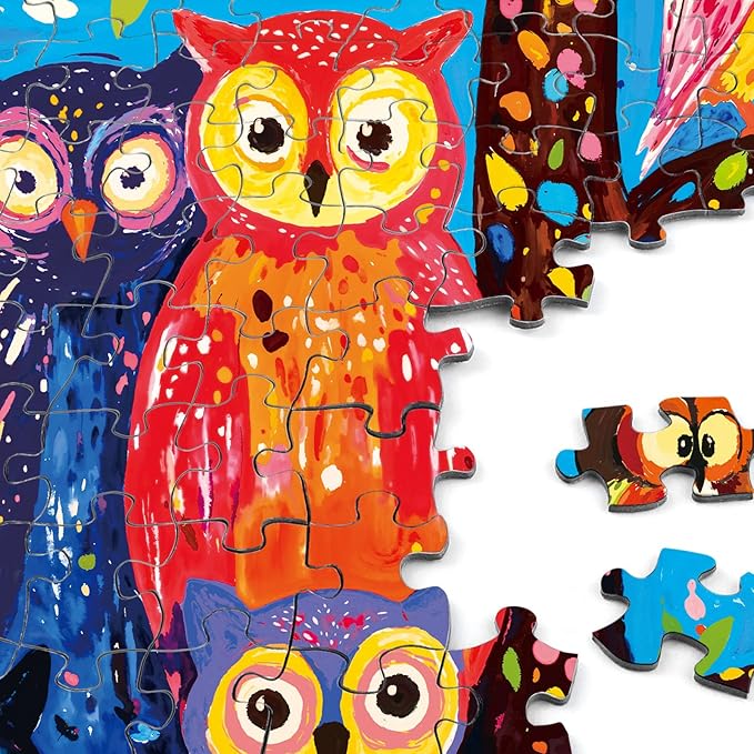 Rocorose Owl Jigsaw Puzzles for Adults 1000 Pieces, Colorful Habitat for Owls Puzzle Bird Nature Animal Challenging Puzzles for Game Nights Home Decor