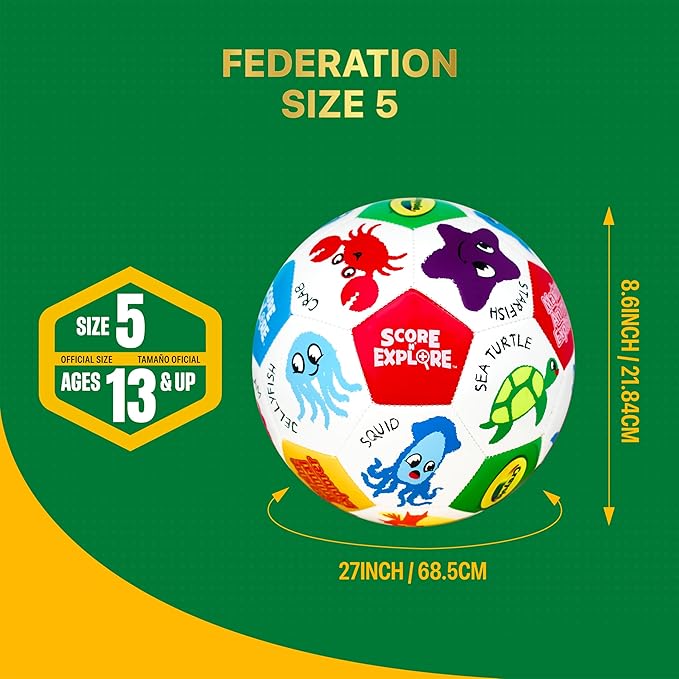Crayola Official Soccer Ball - Unisex Kids - Marine Size 5