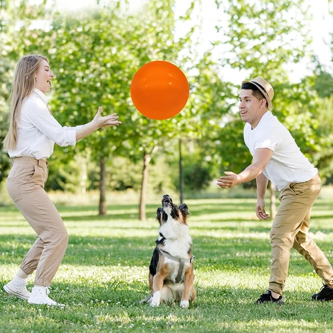 6 Pcs 6 Inch Inflatable Bouncy Balls, with 1 Hand Air Pump