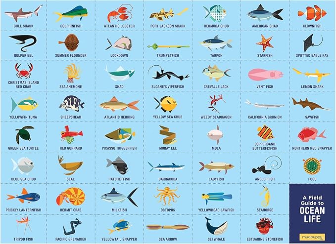 Ocean Life Search & Find Puzzle