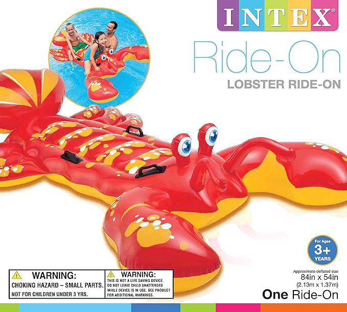 INTEX Inflatable Pool Float: Pool Toy for Kids