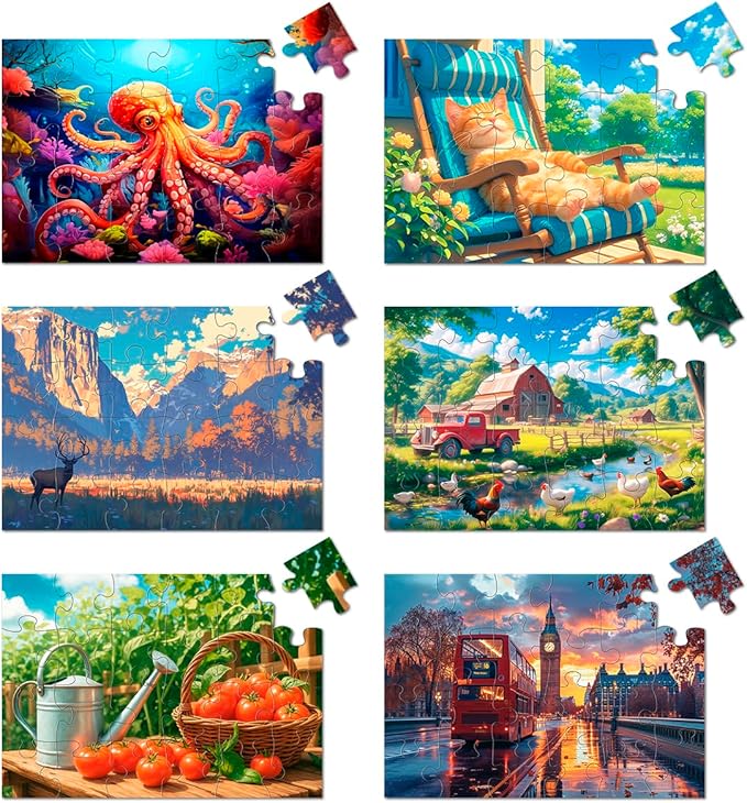 Yigney 6 Pack 24 Large Piece Jigsaw Puzzles for Seniors Alzheimer Product for Elderly Dementia Activities Memory for Patients in Nursing Home with Storage Box