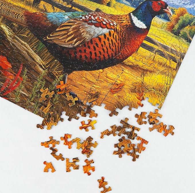 Springbok Golden Fields Pheasant 500 Piece Jigsaw Puzzle for Adults - Pheasant in a Fall Scene - Unique Cut Pieces - Made in USA