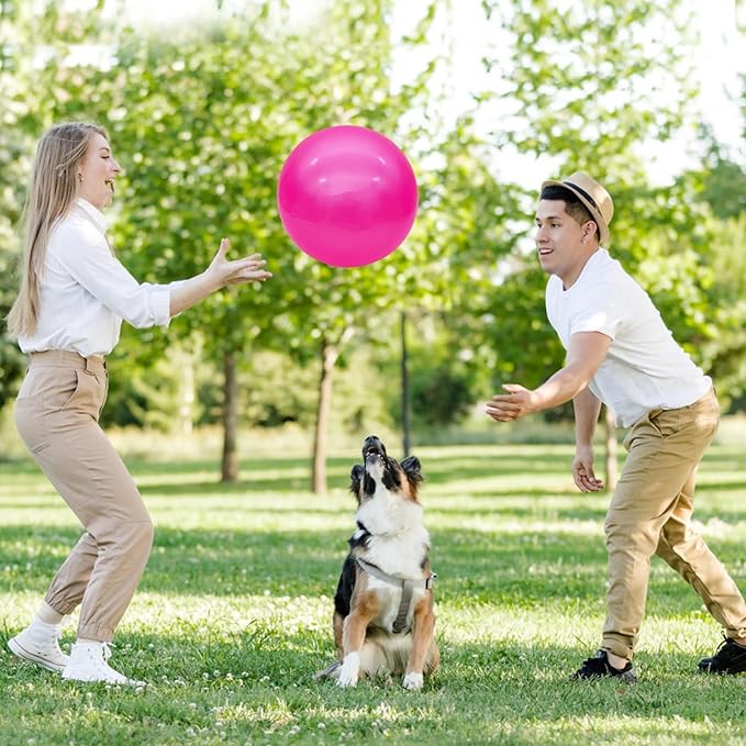 6 Pcs 6 Inch Inflatable Bouncy Balls, with 1 Hand Air Pump