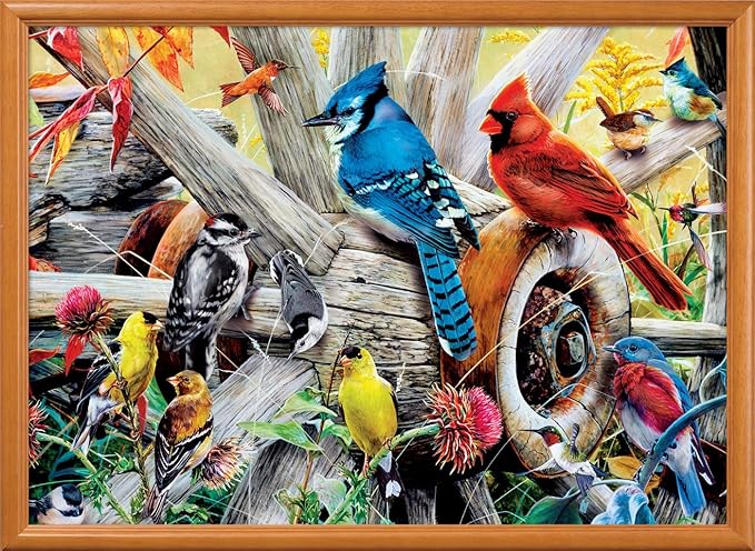 MasterPieces 1000 Piece Jigsaw Puzzle for Adults, Family, Or Youth - Backyard Birds - 19.25"x26.75"
