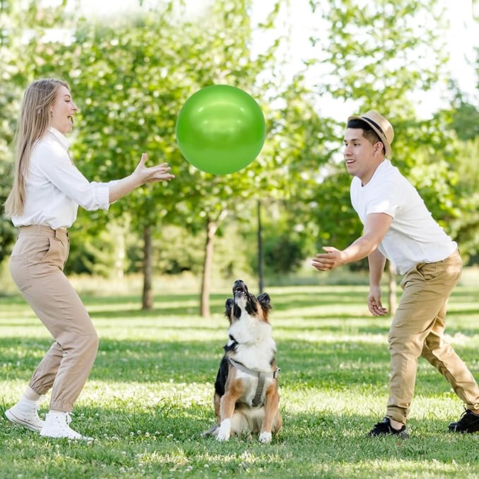 6 Pcs 6 Inch Inflatable Bouncy Balls, with 1 Hand Air Pump