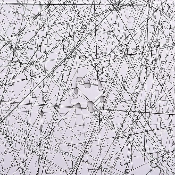 Bgraamiens Puzzle-The Lines -1000 Pieces Black and White Simple Fashion Challenge Blue Board Jigsaw Puzzles