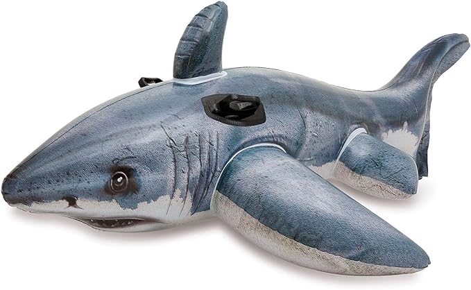 INTEX Inflatable Pool Float: Pool Toy for Kids